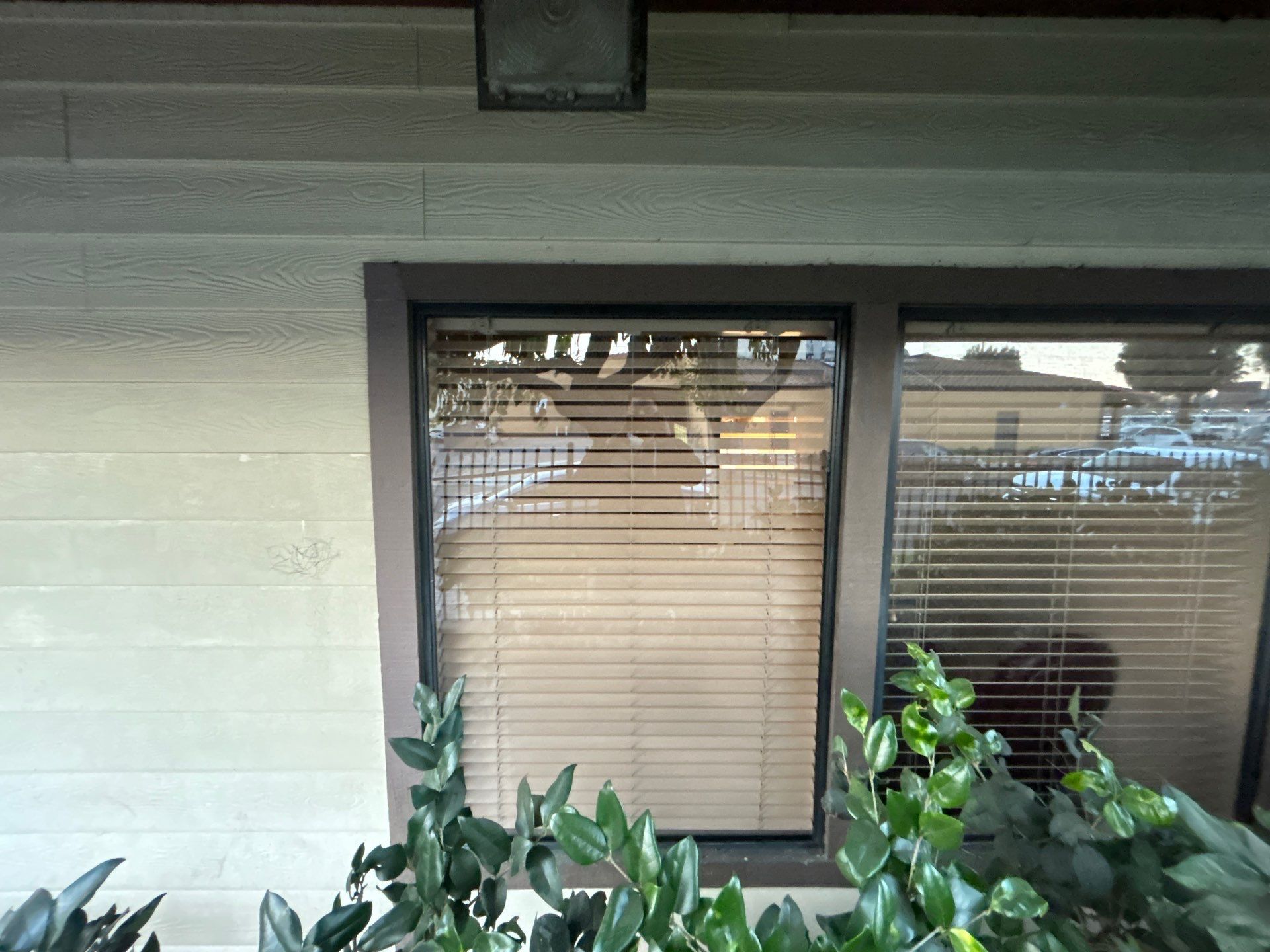 Bronze Tempered Glass Replacement with Board-Up in Santa Ana